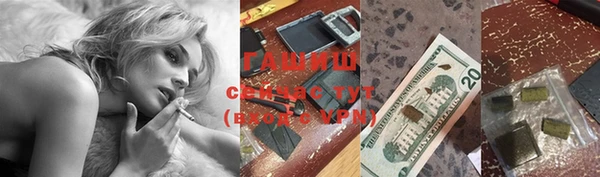 стафф Богородицк