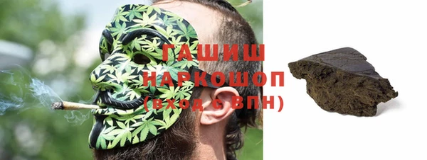 стаф Богородск