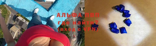 стафф Богородицк