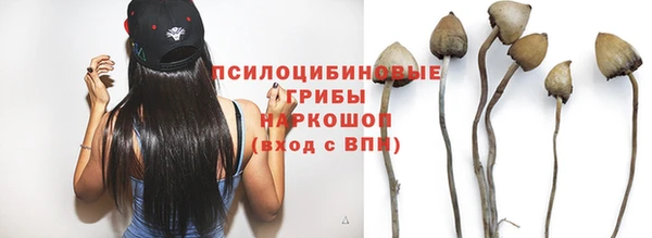 стафф Богородицк
