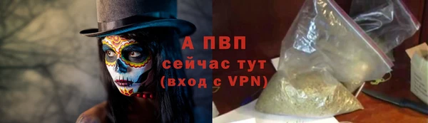 стафф Богородицк