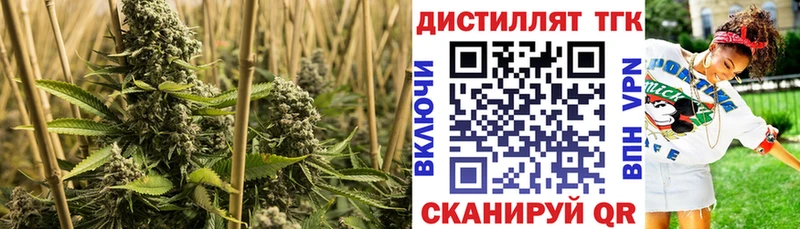 ТГК вейп с тгк  darknet как зайти  Спасск-Дальний 